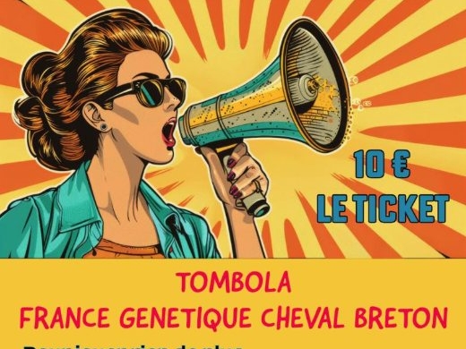 REGLEMENT DE LA TOMBOLA