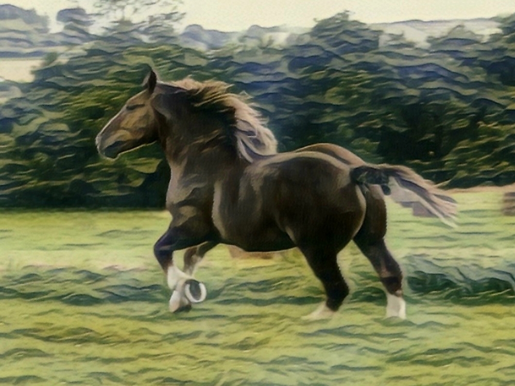 REGLEMENT TOMBOLA 2026 paillettes DIABOLO...