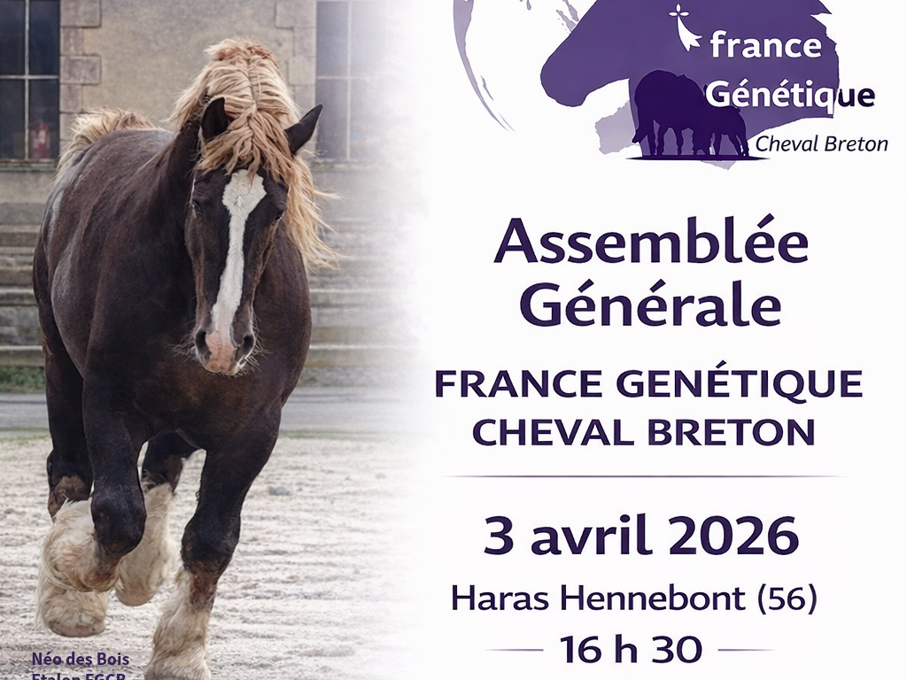 ASSEMBLEE GENERALE 2026...
