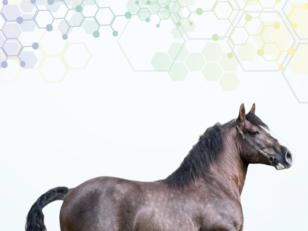 Relevé de Décisions Assemblée Générale...